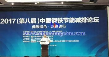 中國鋼鐵工業環保兩極分化現象亟待解決 2017(第八屆)中國鋼鐵節能減排論壇圖片