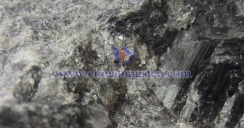 鎢:被忽略的人體健康微量營養素 鎢礦圖片