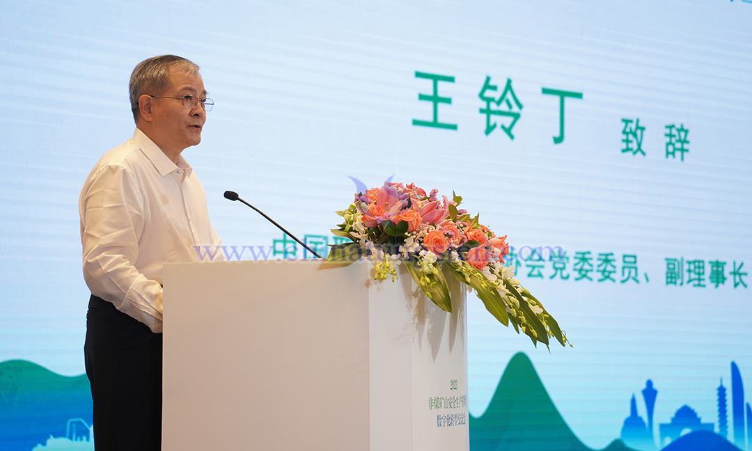 中国职业安全健康协会党委委员、副理事长 王铃丁